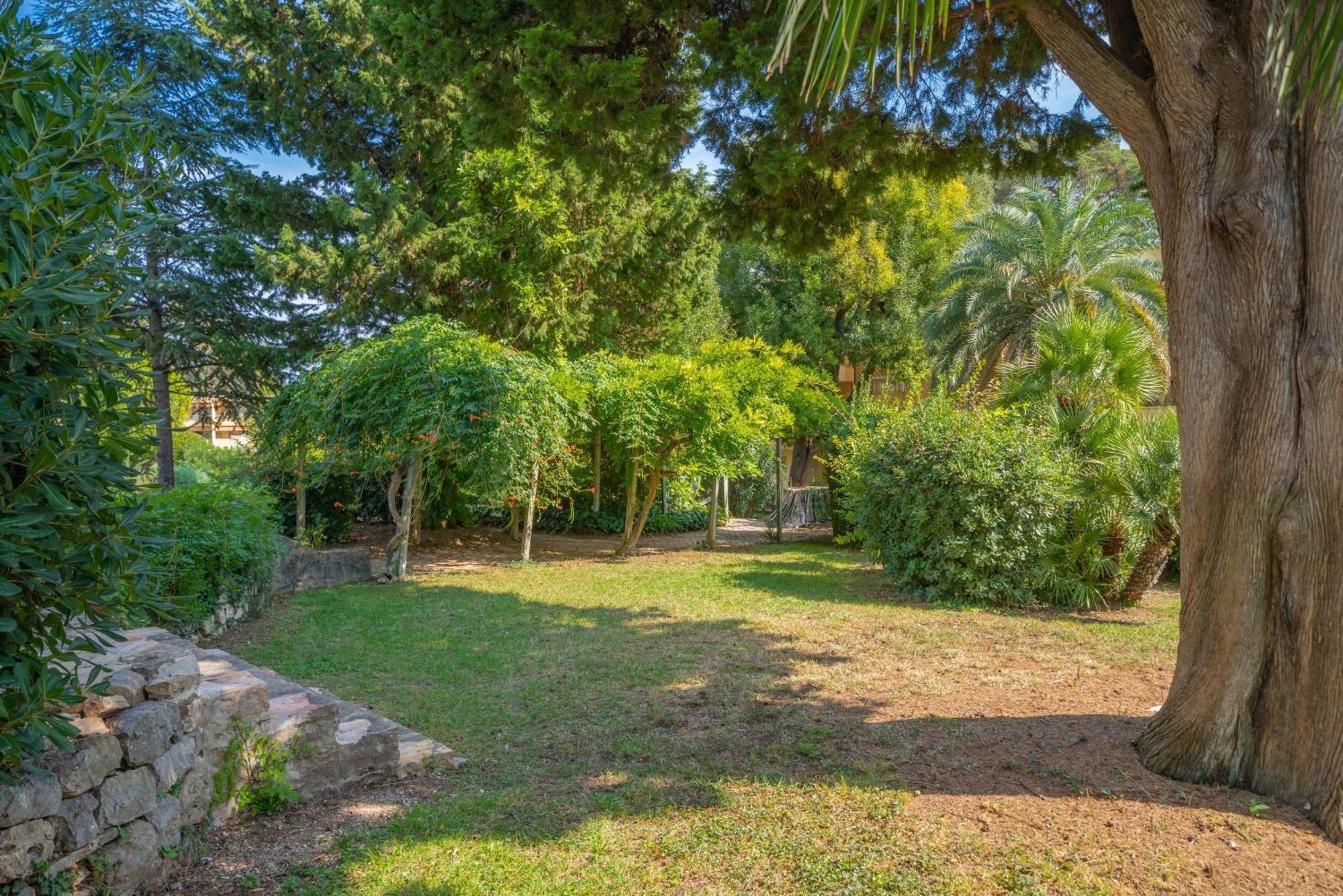 Les 15 Pins & La Mer -Your Green Getaway Near Sea & Beach Antibes Dış mekan fotoğraf